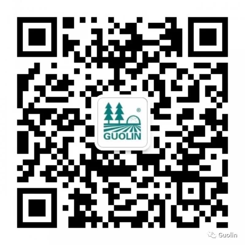 ���Ӻ���